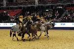 Quadrille - 00913